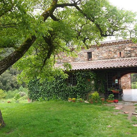 Bed And Breakfast Casanova De Sant Miquel Aiguafreda Εξωτερικό φωτογραφία