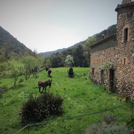 Bed And Breakfast Casanova De Sant Miquel Aiguafreda Εξωτερικό φωτογραφία