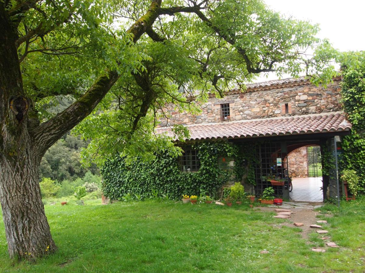 Bed And Breakfast Casanova De Sant Miquel Aiguafreda Εξωτερικό φωτογραφία