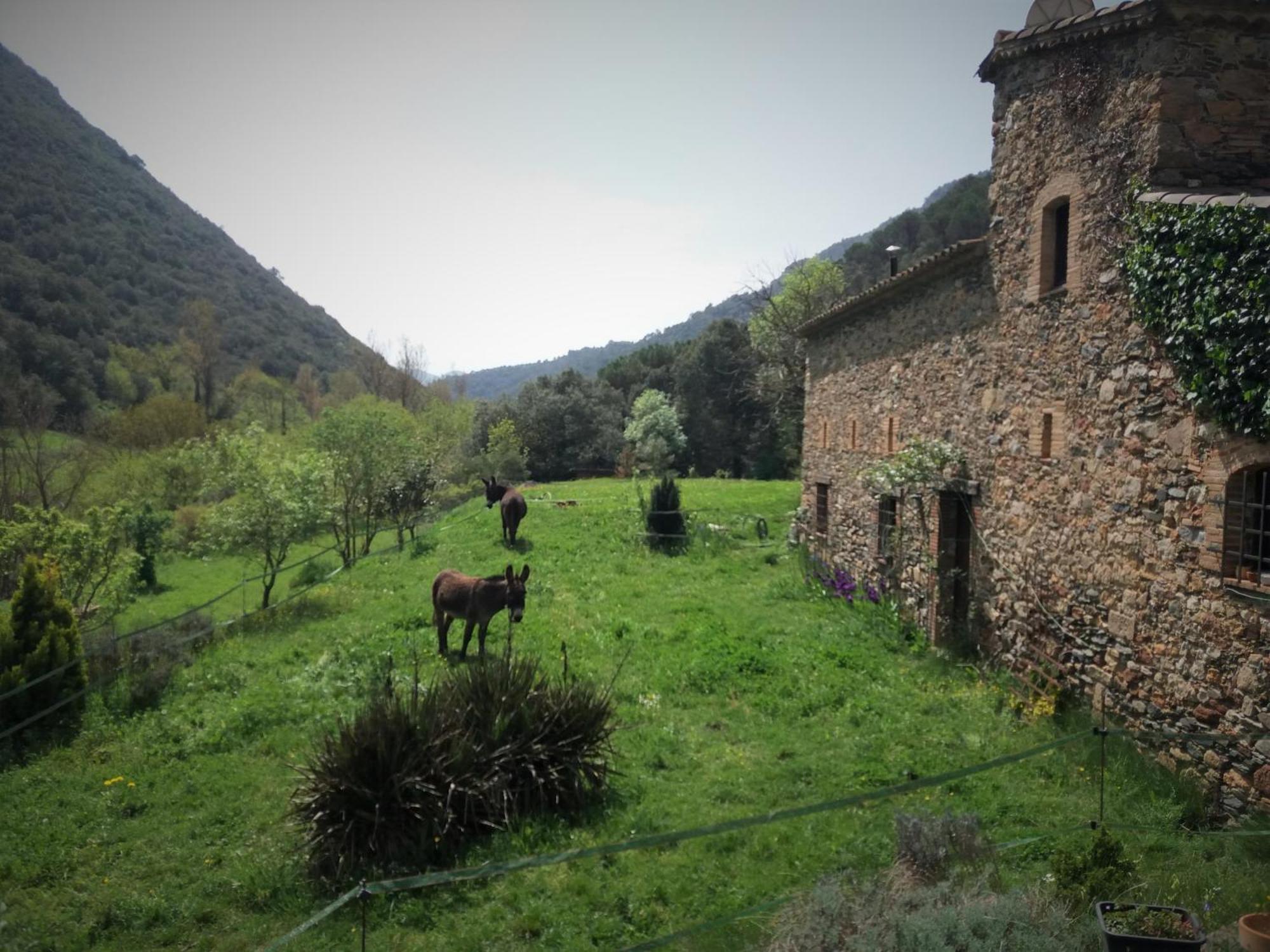 Bed And Breakfast Casanova De Sant Miquel Aiguafreda Εξωτερικό φωτογραφία